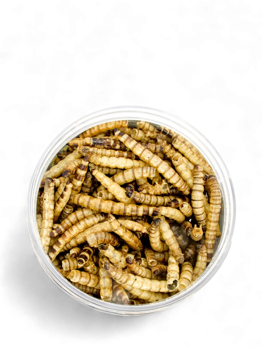 AQUA CRYSTAL зофобас сушеный 250 мл 40 г