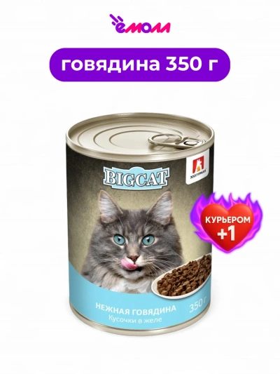 Зоогурман консервированный корм для кошек Big Cat говядина кусочки в желе 350 г