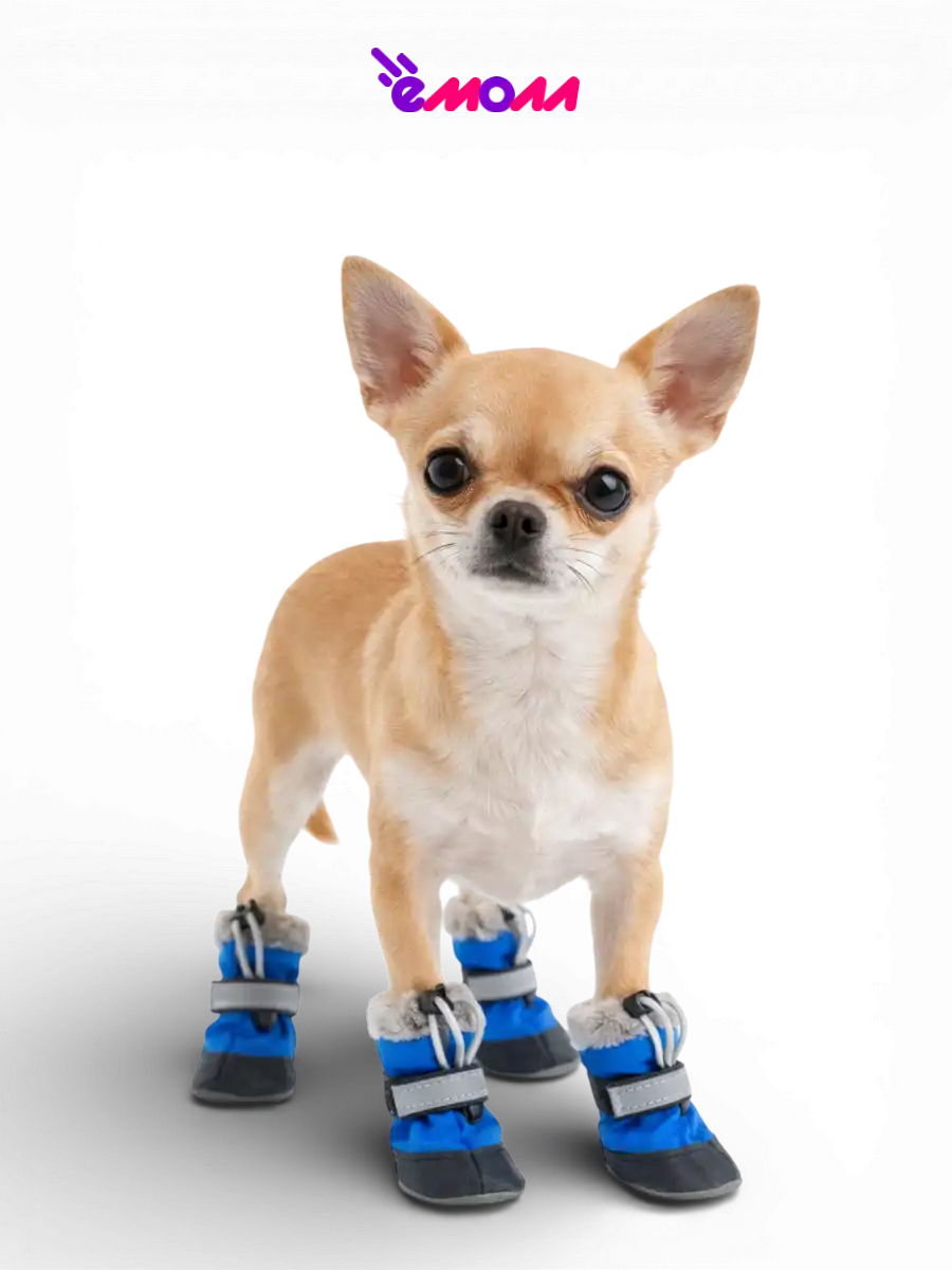 Дарэленд ботинки для собак и кошек утеплённые XS с меховой подкладкой васильковые 2 шт