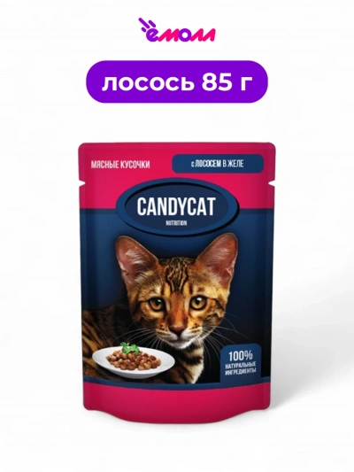 Candycat влажный корм для кошек с лососем в желе 85 г