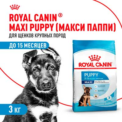 Royal Canin корм сухой для щенков крупных размеров до 15 месяцев Maxi Puppy 3 кг