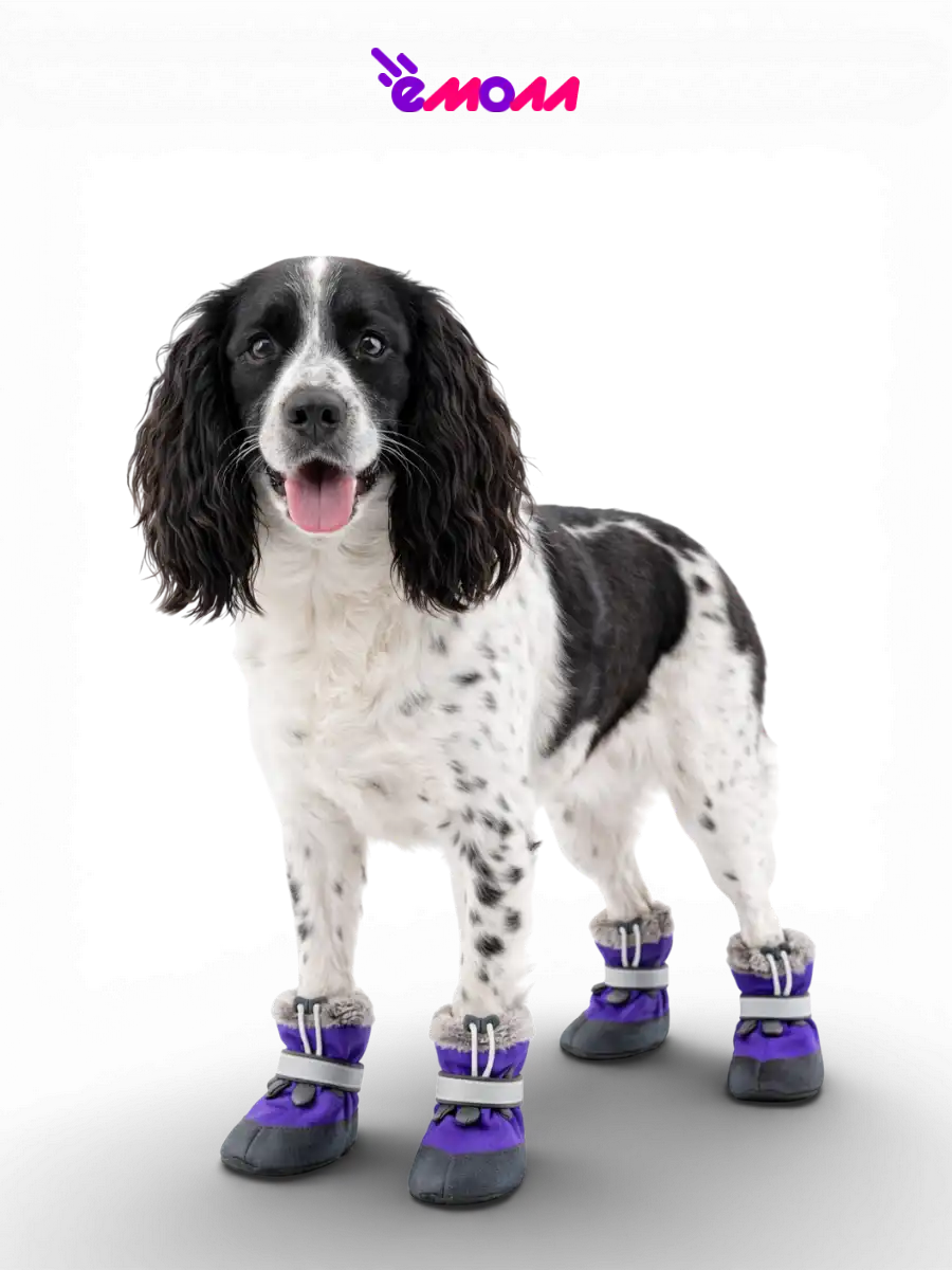 Дарэленд ботинки для собак и кошек утеплённые XL с меховой подкладкой фиолетовые 2 шт