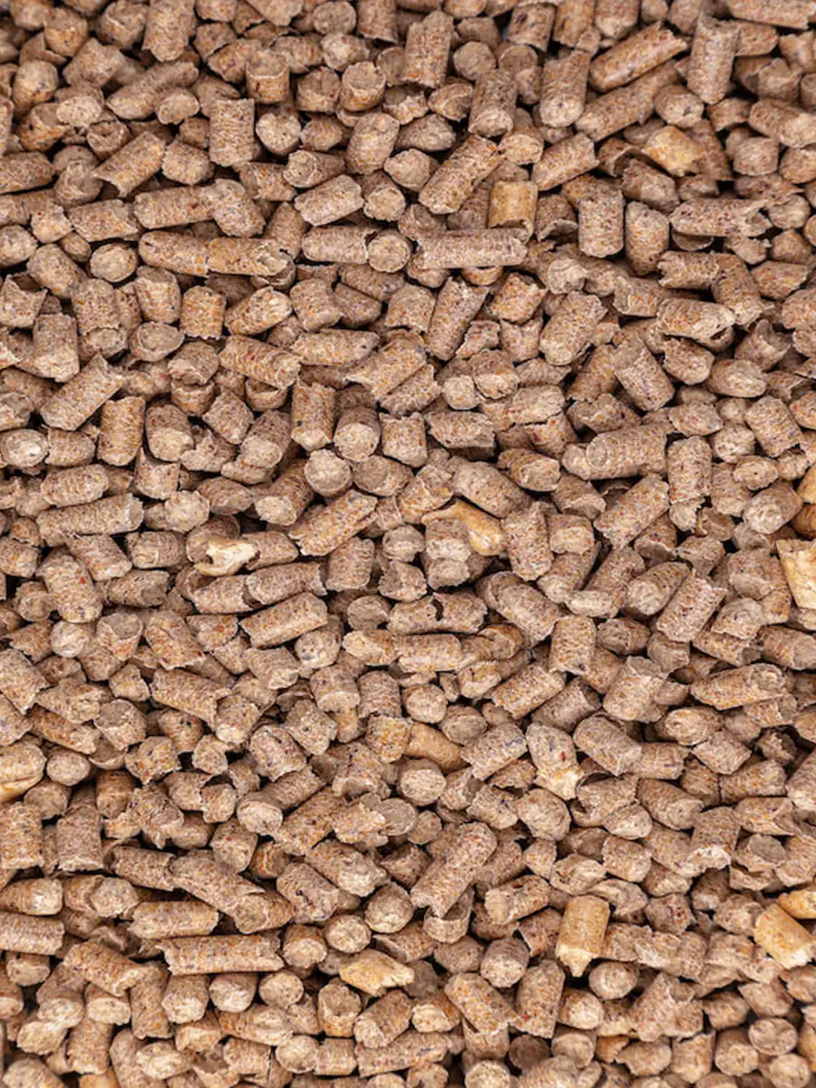 Сибирская кошка супервпитывающий древесный наполнитель для кошачьего лотка Лесной 10л