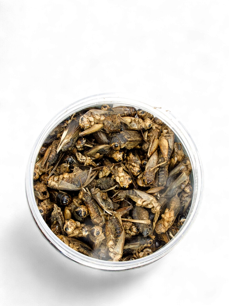 AQUA CRYSTAL сверчки банка 250 мл 55 г