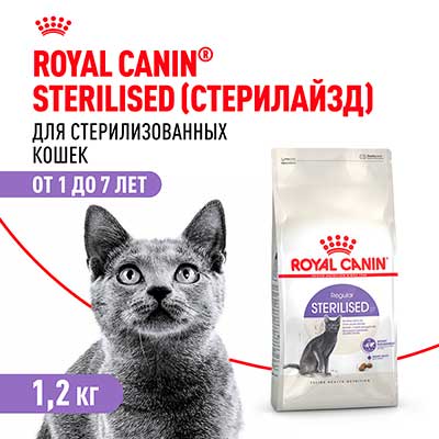 Royal Canin корм сухой сбалансированный для взрослых стерилизованных кошек Sterilised 37 1.2 кг