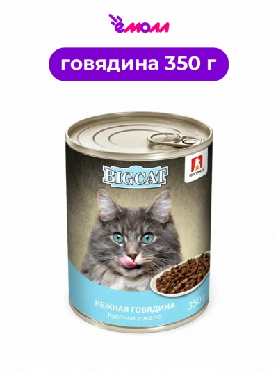 Зоогурман консервированный корм для кошек Big Cat говядина кусочки в желе 350 г