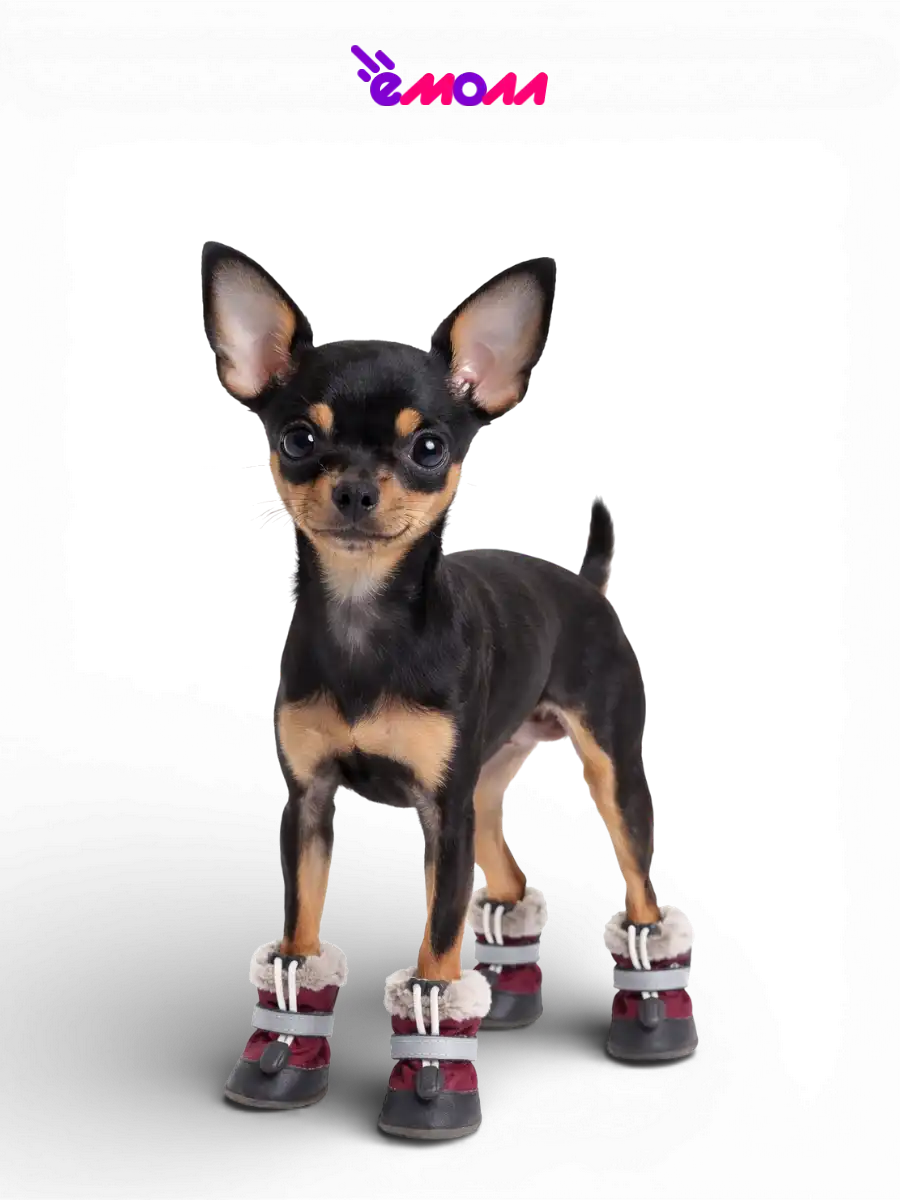 Дарэленд ботинки для собак и кошек утеплённые XXS с меховой подкладкой бордовые 2 шт