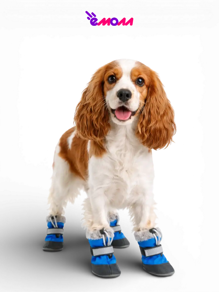 Дарэленд ботинки для собак и кошек утеплённые XL с меховой подкладкой васильковые 2 шт