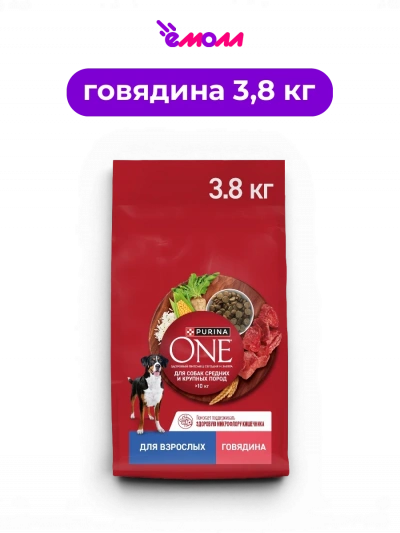 Purina ONE сухой корм для взрослых собак средних и крупных пород более 10 кг с говядиной и рисом для иммунитета 3.8 кг