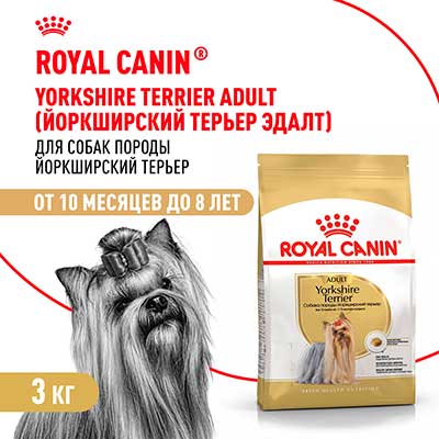 Royal Canin корм сухой для взрослых собак породы Йоркширский Терьер от 10 месяцев Yorkshire Terrier Adult 3 кг