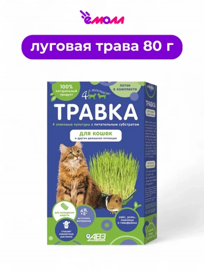 Четыре с хвостиком травка для кошек и других домашних питомцев 80 г