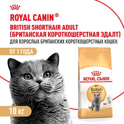 Royal Canin корм сухой сбалансированный для взрослых британских короткошерстных кошек British Shorthair Adult 10 кг