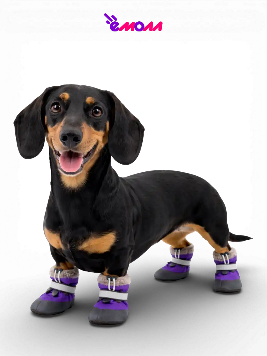 Дарэленд ботинки для собак и кошек утеплённые L с меховой подкладкой фиолетовые 2 шт