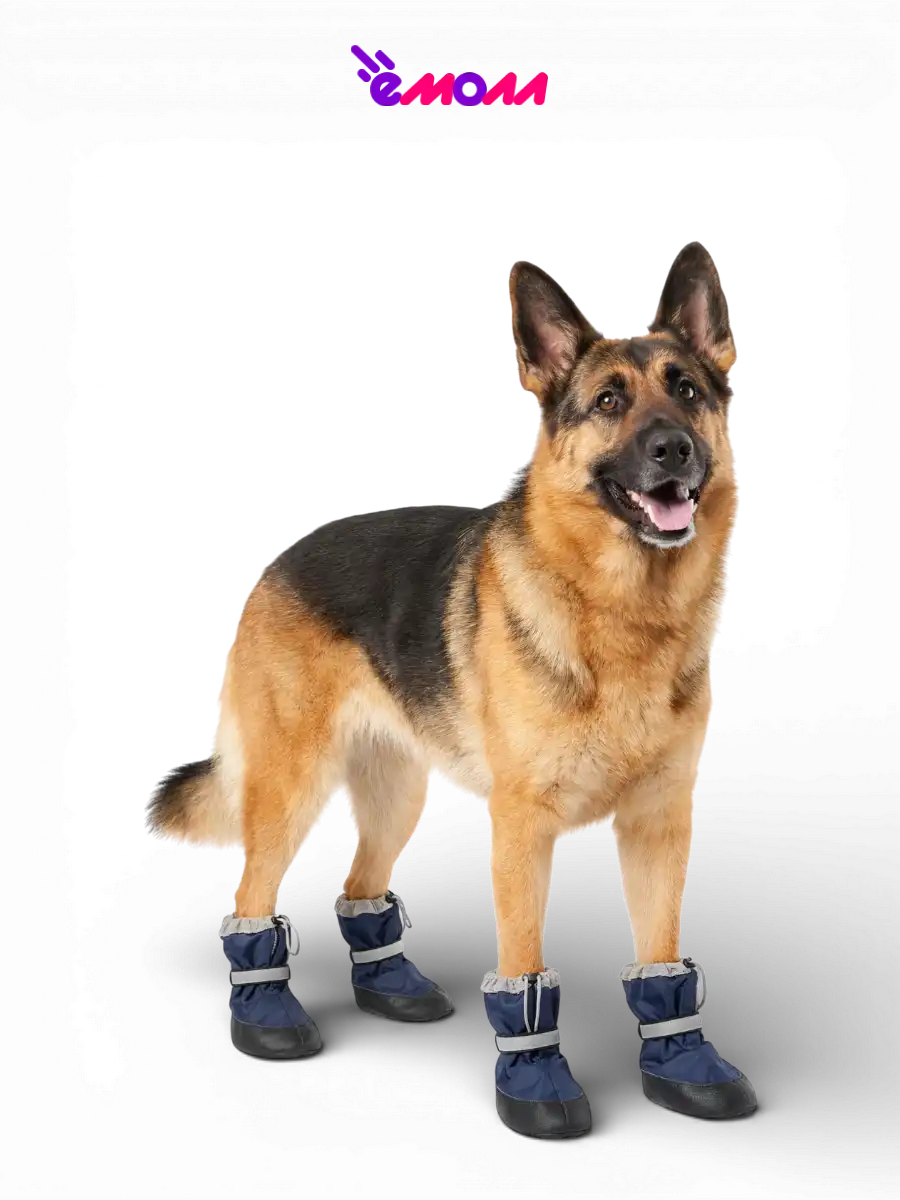 Дарэленд ботинки для собак и кошек утеплённые XXL с меховой подкладкой темно черные 2 шт