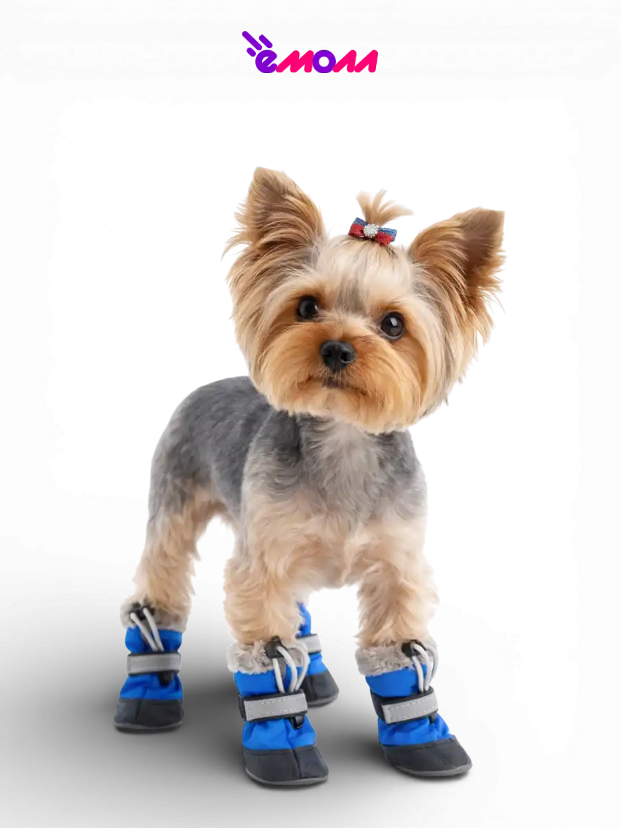 Дарэленд ботинки для собак и кошек утеплённые XS с меховой подкладкой васильковые 2 шт