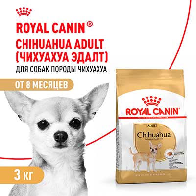 Royal Canin корм сухой для взрослых собак породы Чихуахуа от 8 месяцев Chihuahua Adult 3 кг