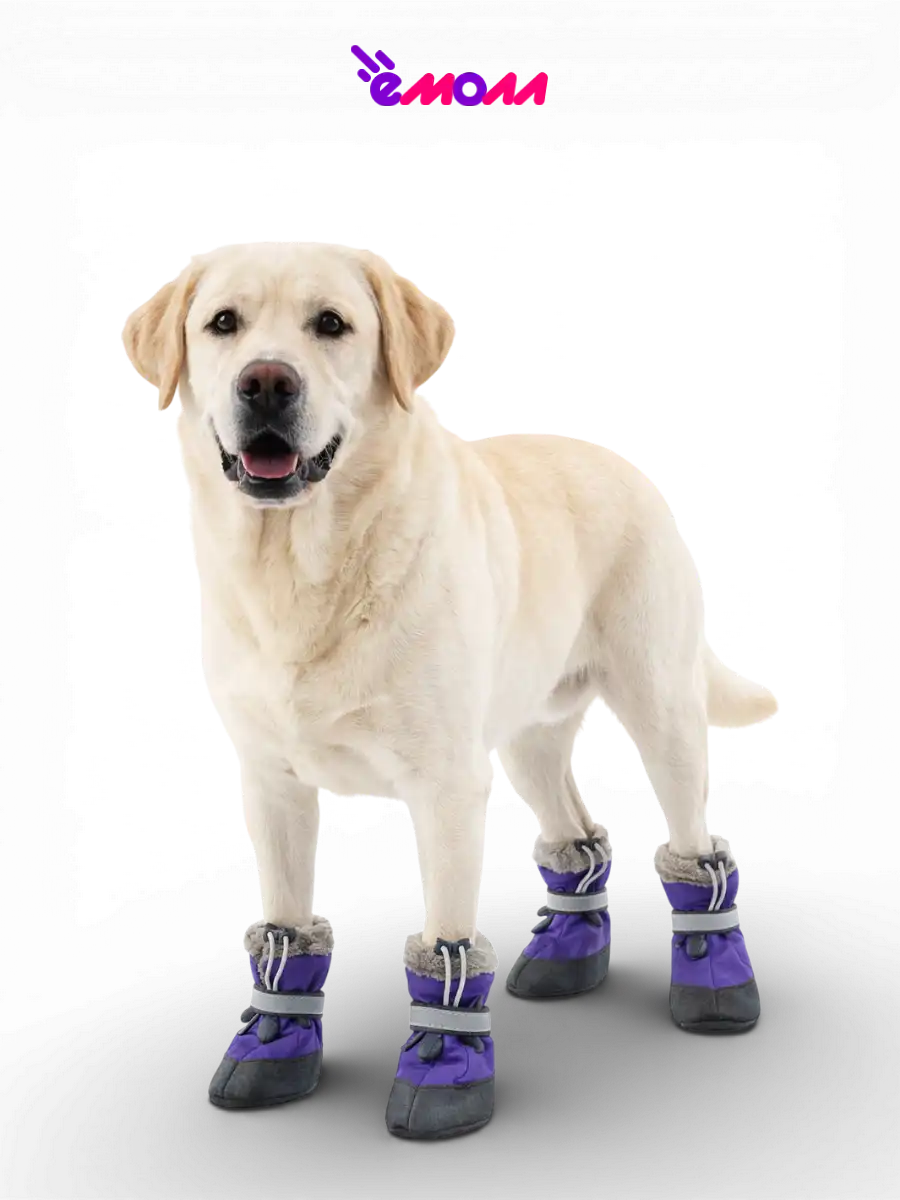 Дарэленд ботинки для собак и кошек утеплённые XXL с меховой подкладкой фиолетовые 2 шт