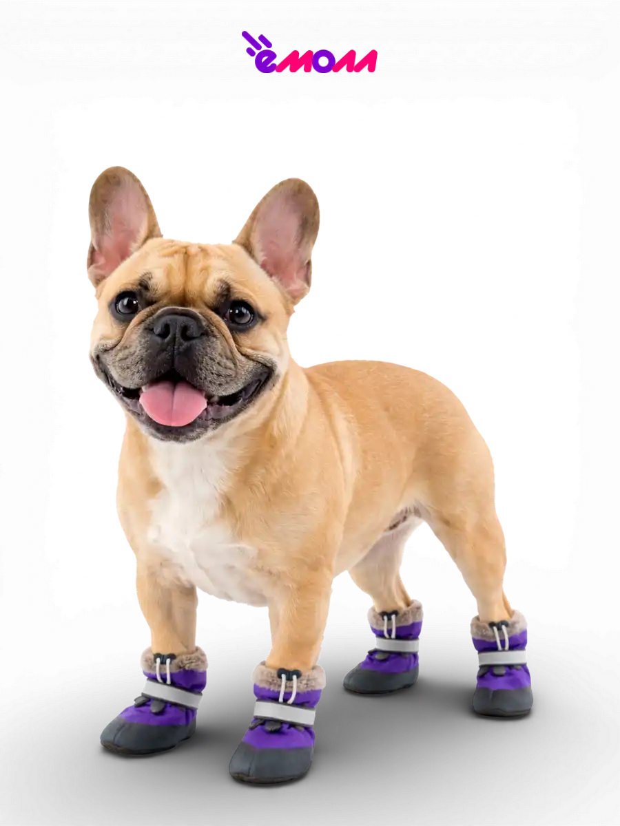 Дарэленд ботинки для собак и кошек утеплённые L с меховой подкладкой фиолетовые 2 шт