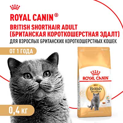 Royal Canin корм сухой сбалансированный для взрослых британских короткошерстных кошек British Shorthair Adult 400 г