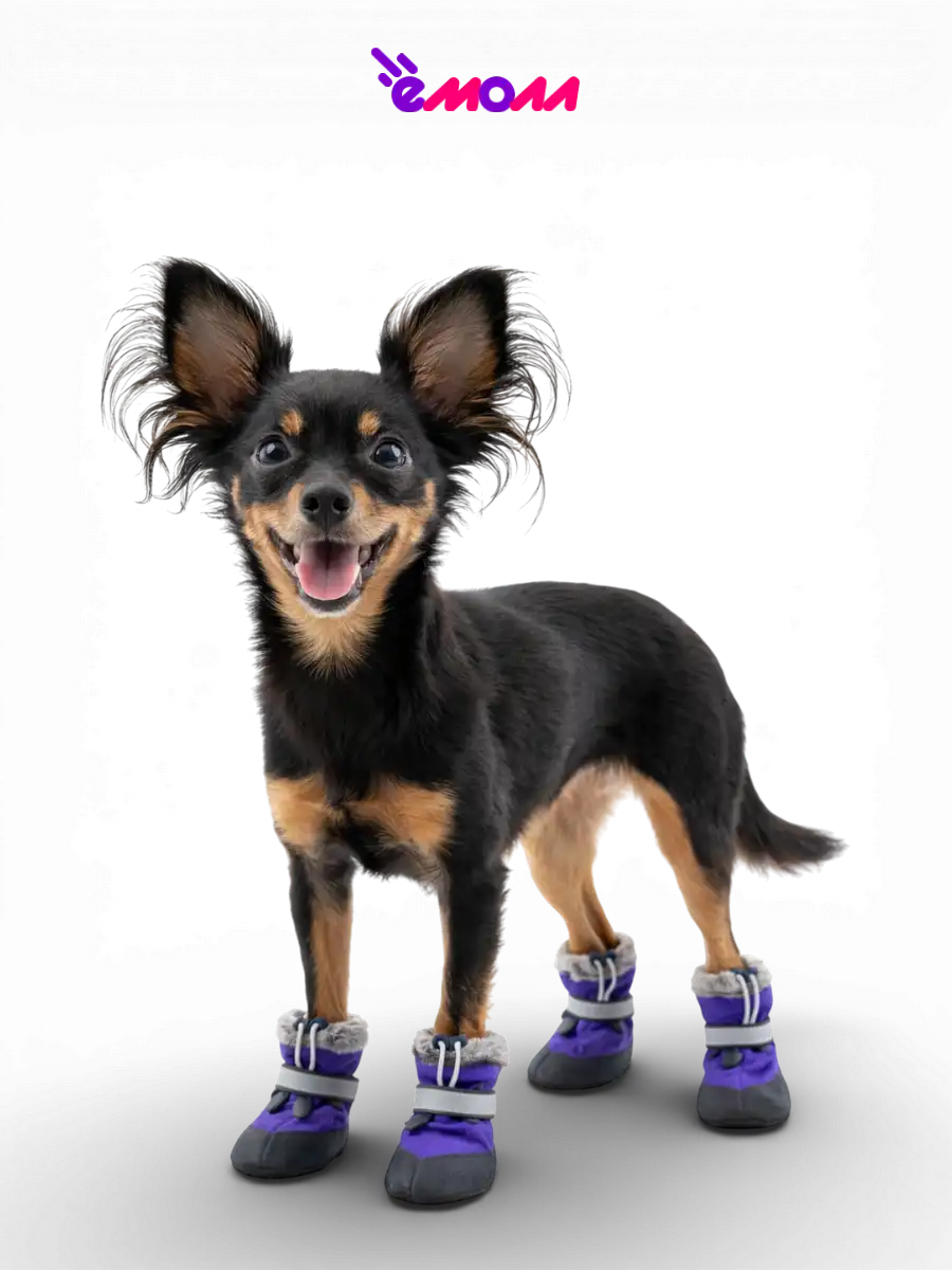 Дарэленд ботинки для собак и кошек утеплённые XS с меховой подкладкой фиолетовые 2 шт