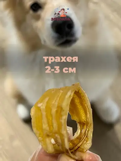 Зоопапа лакомство для собак всех пород цельная сушеная говяжья трахея 2-3 см 1 кг