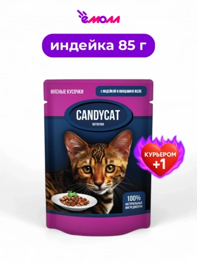 Candycat влажный корм для кошек с индейкой и овощами в желе 85 г
