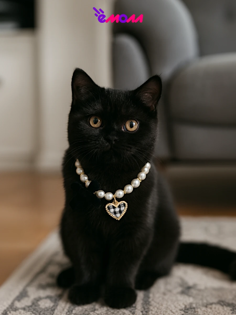Jack&King бусы для кошек и собак жемчуг белый на резинке с бантом и сердцем M 25–31 см Jack&King бусы для кошек и собак жемчуг белый на резинке с бантом и сердцем M 25–31 см