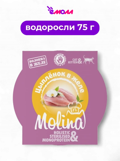 Molina влажный корм для котят цыпленок в желе 75 г