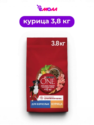 Purina ONE сухой корм для взрослых собак средних и крупных пород более 10 кг с высоким содержанием курицы и рисом 3.8 кг