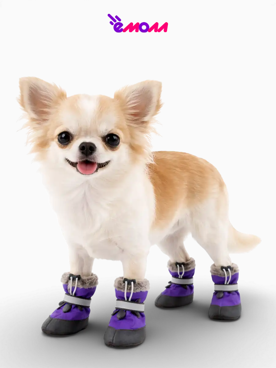 Дарэленд ботинки для собак и кошек утеплённые XS с меховой подкладкой фиолетовые 2 шт