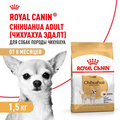 Royal Canin корм сухой для взрослых собак породы Чихуахуа от 8 месяцев Chihuahua Adult 1.5 кг