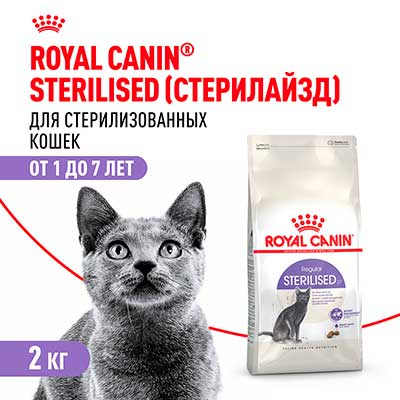 Royal Canin корм сухой сбалансированный для взрослых стерилизованных кошек Sterilised 37 2 кг