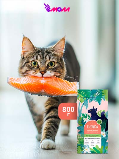 Florida сухой корм для стерилизованных кошек с лососем и черникой 800 г