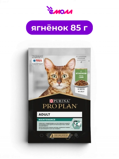 PRO PLAN влажный корм для взрослых кошек с ягненком в желе поддержание естественной защиты организма MAINTENANCE 85 г