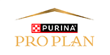 Pro Plan
